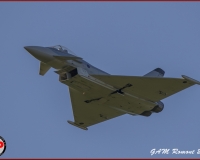 TSR Watermark - 0506